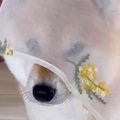 こっそりおやつを食…