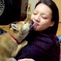 犬が苦手な女性が『…