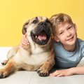 児童の音読に犬が立…