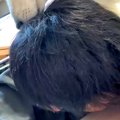 飲み会から帰宅し、…