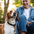 犬にとって『良い刺…