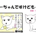 ちーちゃんですけど…
