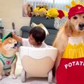 1歳の女の子の『ドラ…