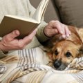 飼い主に従順な犬が…
