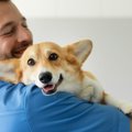 犬の正しい『抱き方…