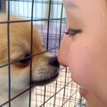 赤ちゃん犬が見せた…