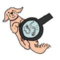 犬のエキノコックス…