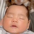 赤ちゃんが『人見知…