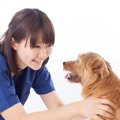 知っていますか？犬…