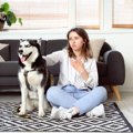 犬が懐かなくなる飼…