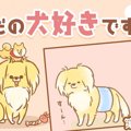 ただの犬好きです。…