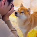 夜、犬がなかなか寝…