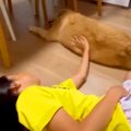 見えなくても『誰に…