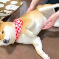 1ヶ月ぶりに帰ってき…