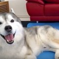 名前を呼ばれるとク…