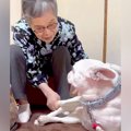 おばあちゃんにばか…