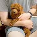 『大きくなったら4キ…
