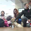 誘拐された犬がマイ…