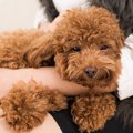 過去に暴力を受けて…
