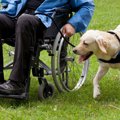 犬がしている仕事４…