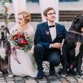 愛犬と一緒に結婚式…