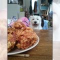 「からあげ…食べたい…