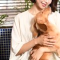 犬が飼い主に『鼻キ…