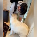 出張で１週間も帰っ…