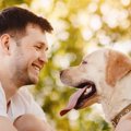 愛犬にあなたをもっ…
