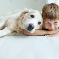 犬とのスキンシップ…