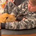 小さな犬を可愛がる…