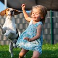 犬が喜ぶ『楽しい遊…