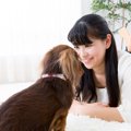 愛犬家に朗報！オキ…