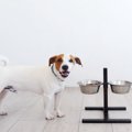 使ってはいけない『…