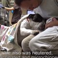 ケガしても人を信頼…