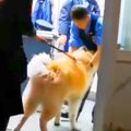 夜、交番を発見した…