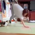 何気なく家の中のカ…