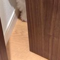 家でトイレ中『ノッ…