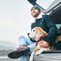 犬を『車に乗せる時…