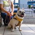お店の前での待て！…