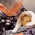 おばあちゃんが犬を…