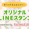 犬 LINEスタンプ ┃写…