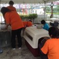 犬と災害を乗り越え…