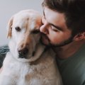 犬に愛が伝わってい…