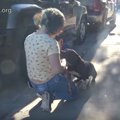 誰かが迎えに来るの…