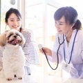 犬が『注射』で大暴…