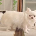 ドッキリしようと思…