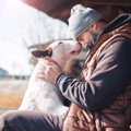 犬も人に気を遣って…