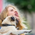 犬が人の『顔を舐め…