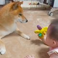 赤ちゃんを『家族』…